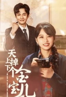 天上掉下个金宝儿
