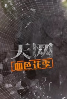 天网：血色花季