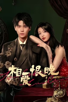 2025剧情《相爱恨晚》迅雷bt下载迅雷下载