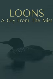 Loons: A Cry from the Mist