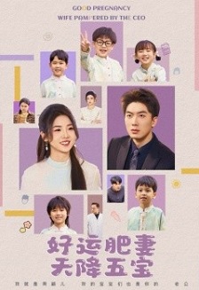 杏林春深&好运肥妻天降五宝