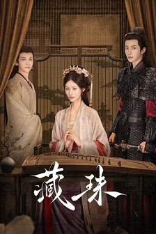 2025爱情《藏珠》迅雷bt下载迅雷下载