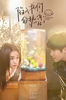 2025剧情《陷入我们的热恋》迅雷bt下载迅雷下载