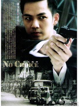 2011国产《别无选择》迅雷bt下载迅雷下载