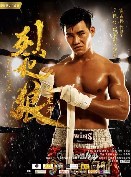 2017动作《烈火狼之笼斗》迅雷bt下载迅雷下载