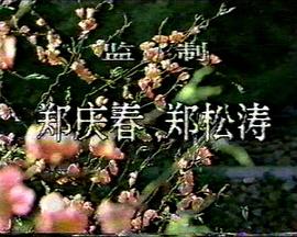 1988剧情《桃色将军》迅雷bt下载迅雷下载