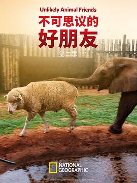 不可思议的好朋友 第二季