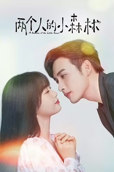 2022喜剧《两个人的小森林》迅雷bt下载迅雷下载