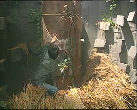 1992恐怖《一千灵异夜之凶穴》迅雷bt下载迅雷下载