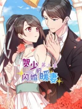 贺少的闪婚暖妻 动态漫 第三季