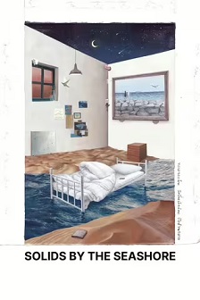 海边的固体