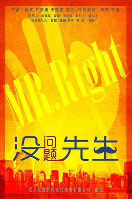 2015剧情《没问题先生》迅雷bt下载迅雷下载