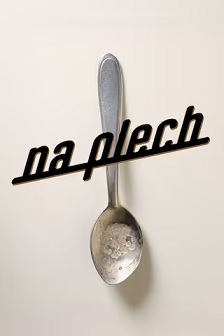 Na plech