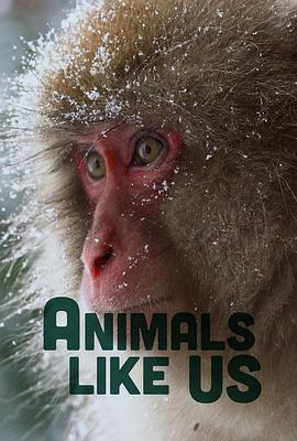 2024欧美《Animals Like》迅雷bt下载迅雷下载