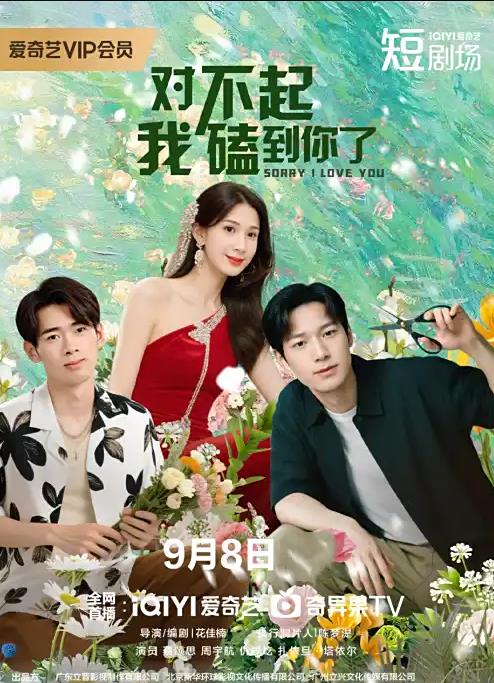 2025剧情《对不起，我磕到你了》迅雷bt下载迅雷下载