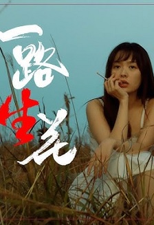 2025爱情《一路“生”花》迅雷bt下载迅雷下载