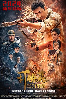 2025历史《打铁花行动》迅雷bt下载迅雷下载