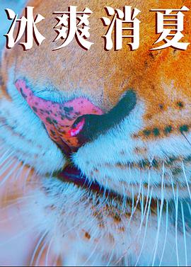 2025悬疑《寒冰白血》迅雷bt下载迅雷下载