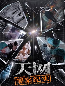 2025纪录《天网：罪案纪实》迅雷bt下载迅雷下载
