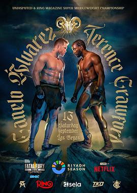 2025运动《卡内洛· 阿尔瓦雷斯 vs 特伦斯·克劳福德》迅雷bt下载迅雷下载