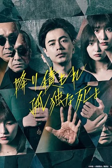 2024剧情《如积雪般的永寂》迅雷bt下载迅雷下载