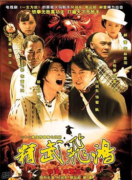 2006国产《精武飞鸿》迅雷bt下载迅雷下载