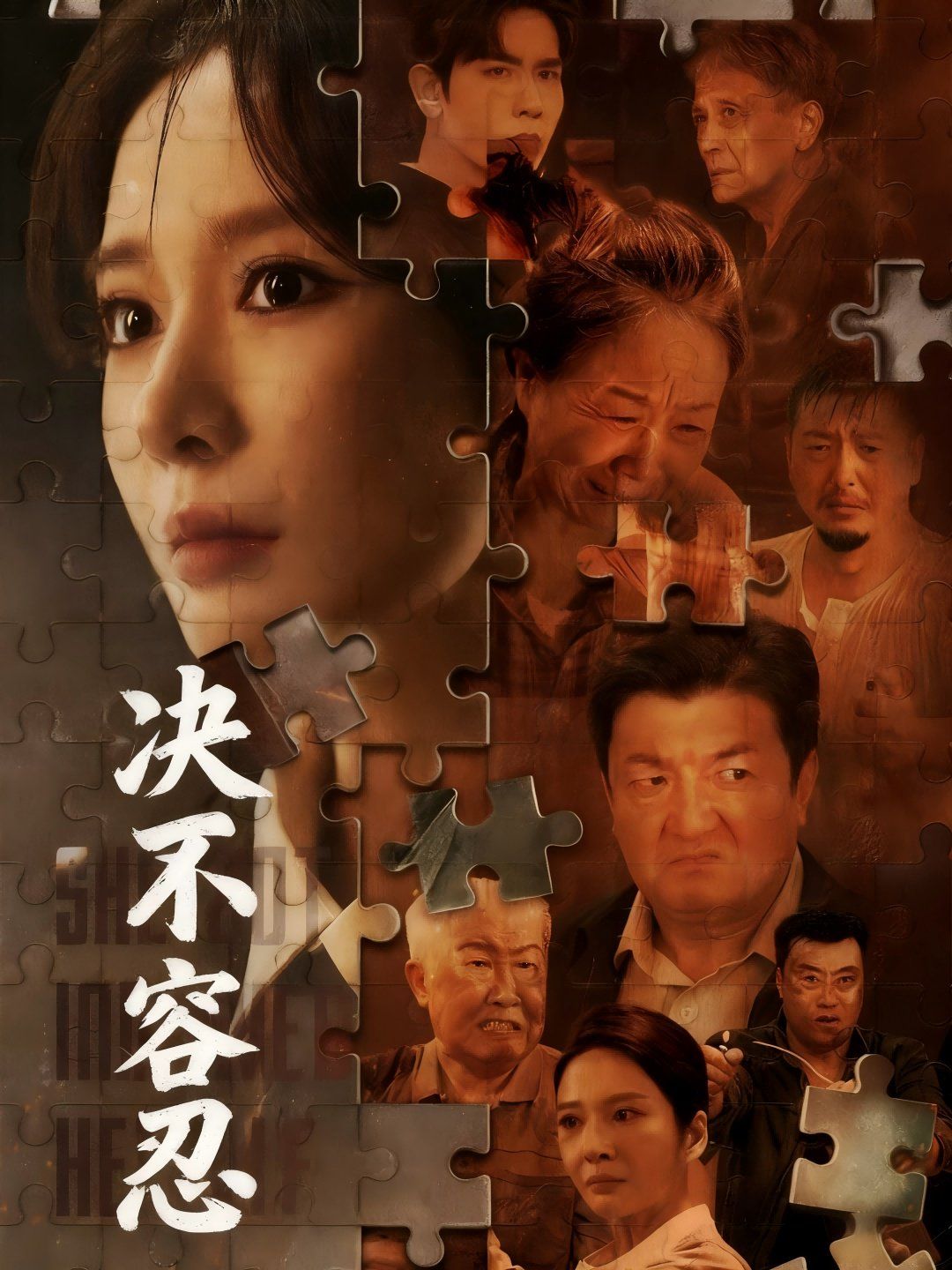 决不容忍(以身入局的她)