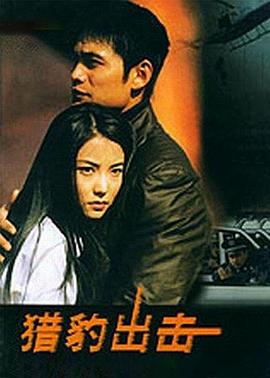 2002国产《猎豹出击》迅雷bt下载迅雷下载