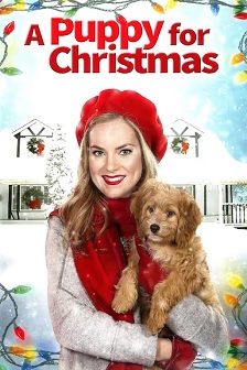 2016剧情《A Puppy for Christmas》迅雷bt下载迅雷下载