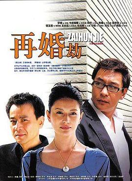 2009国产《再婚劫》迅雷bt下载迅雷下载