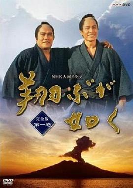 1990日本《宛如飞翔》迅雷bt下载迅雷下载