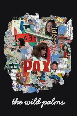 2025剧情《野棕榈》迅雷bt下载迅雷下载