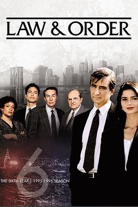1995欧美《法律与秩序 第六季》迅雷bt下载迅雷下载