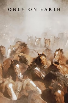 2025纪录《夏日烈焰》迅雷bt下载迅雷下载