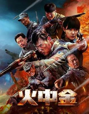 2025战争《火中金》迅雷bt下载迅雷下载