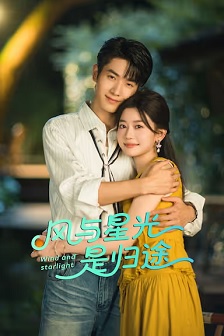 风与星光是归途