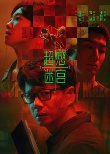 2025犯罪《超感迷宫》迅雷bt下载迅雷下载