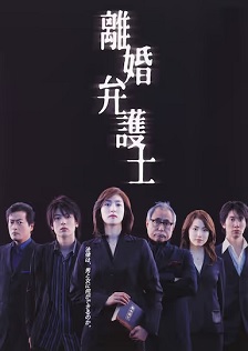 2004剧情《离婚女律师》迅雷bt下载迅雷下载