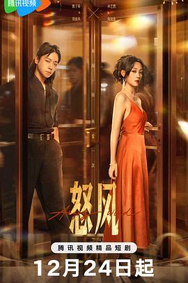 2025国产《怒风》迅雷bt下载迅雷下载