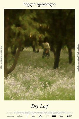 2025剧情《落叶球》迅雷bt下载迅雷下载