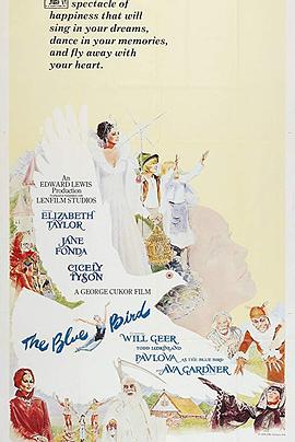 1976剧情《青鸟1976》迅雷bt下载迅雷下载