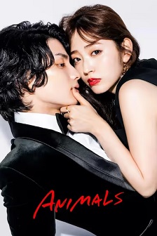 2022爱情《动物》迅雷bt下载迅雷下载