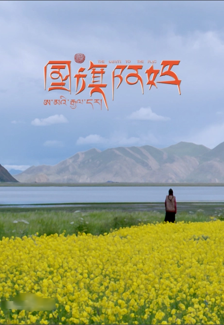 2013剧情《国旗阿妈》迅雷bt下载迅雷下载