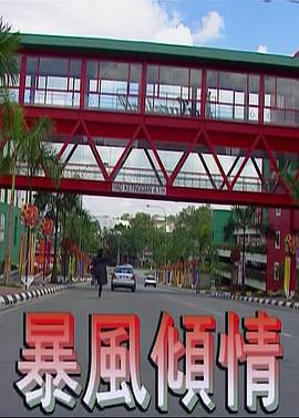 1995剧情《暴风倾情》迅雷bt下载迅雷下载