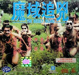 1994动作《魔域追凶》迅雷bt下载迅雷下载