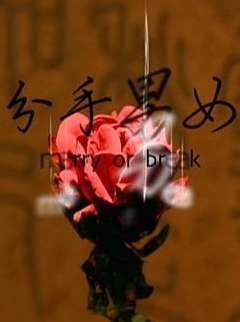 2008剧情《分手男女2008》迅雷bt下载迅雷下载