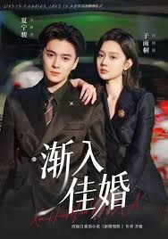 渐入佳婚 第一部