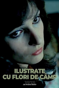 1974剧情《野花明信片》迅雷bt下载迅雷下载