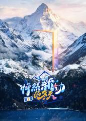 怦然新动的冬天 第二季