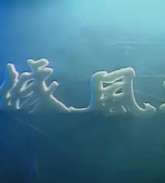 1990国产《龙城风云1990》迅雷bt下载迅雷下载